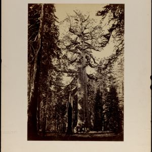 Photographs of the American West